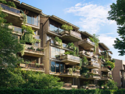 Buildings with green plants